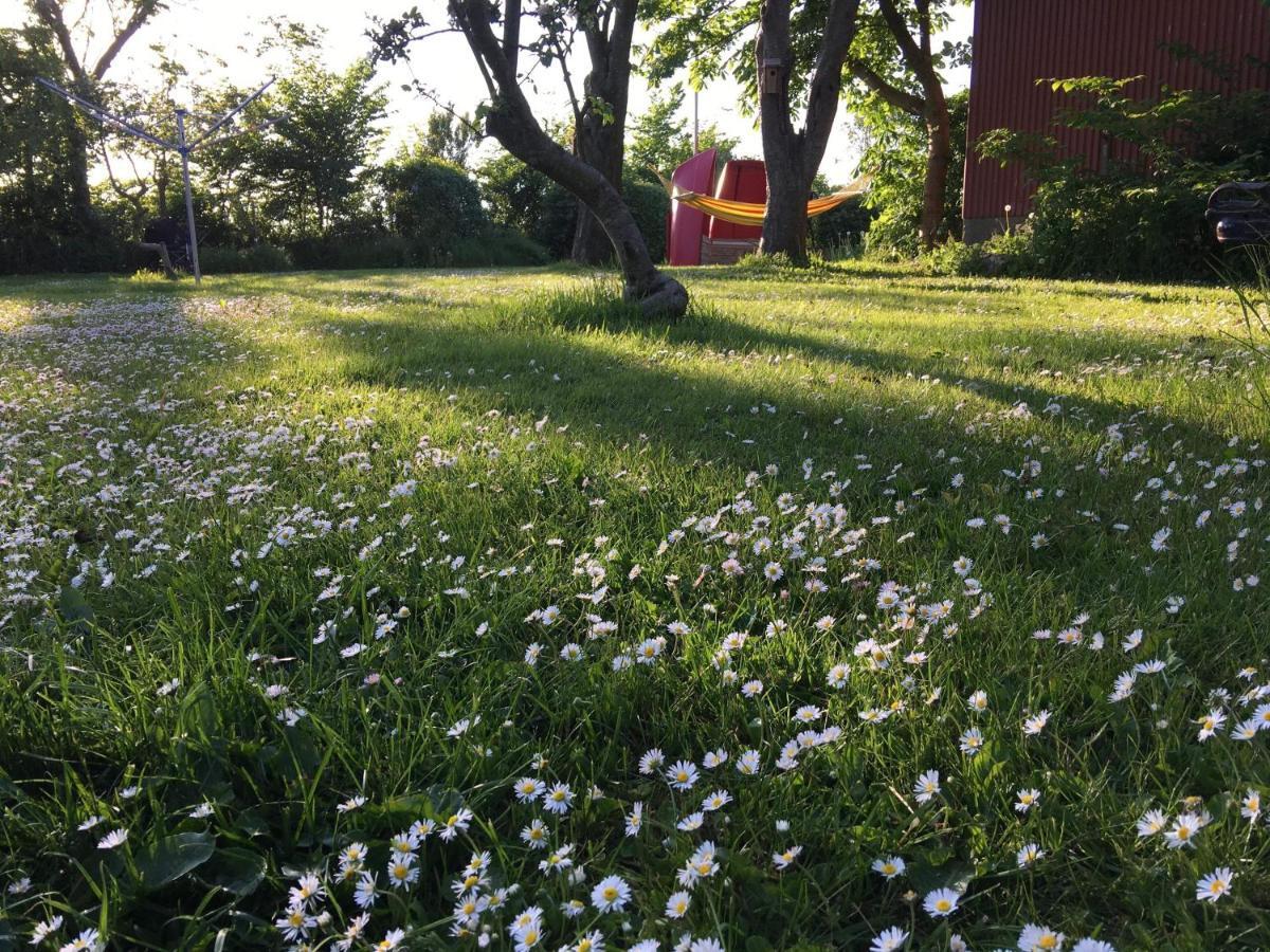 B & B Langagergaard ทิสเตอด์ ภายนอก รูปภาพ